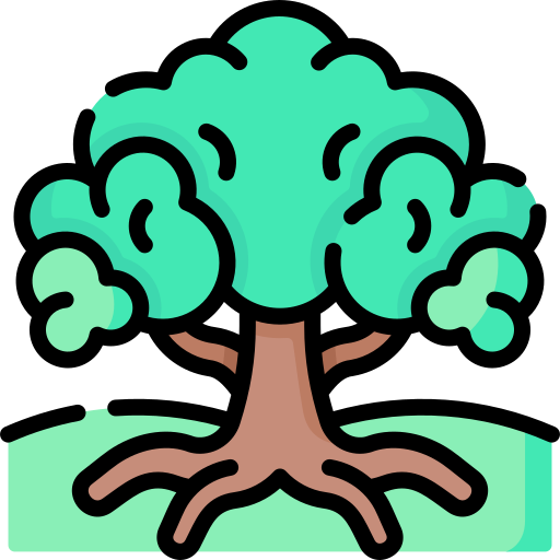 drzewo życia Special Lineal color ikona