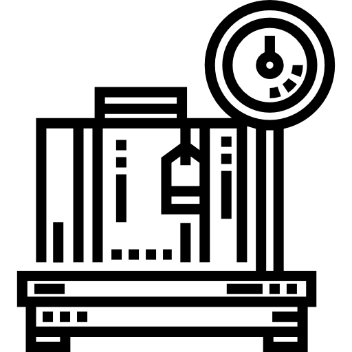 escala Detailed Straight Lineal icono