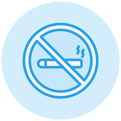 rauchen verboten Generic color lineal-color icon