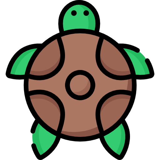 Tortoise Special Lineal color icon