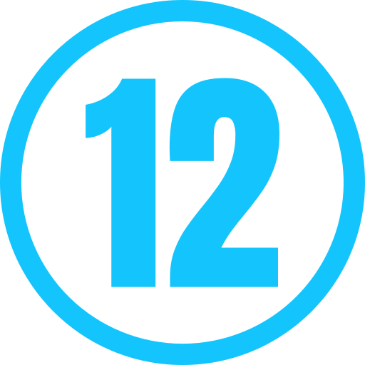 zwölf Generic color fill icon