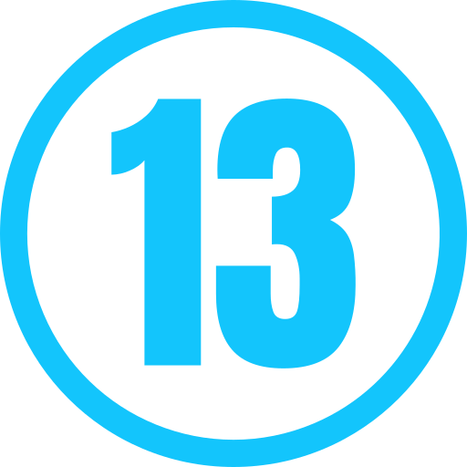 Thirteen Generic color fill icon