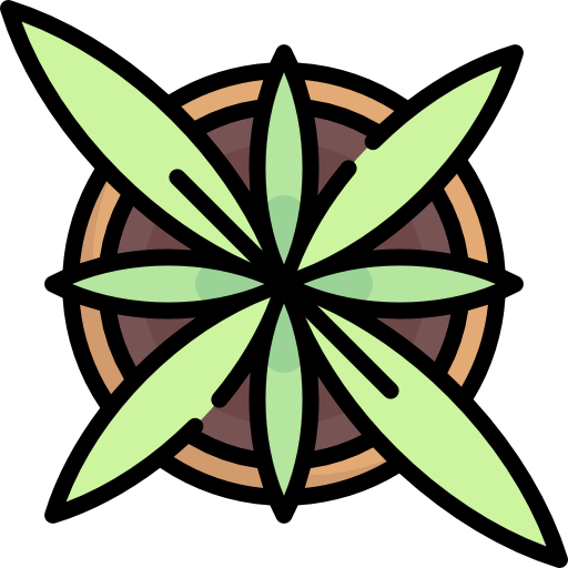 植物 Special Lineal color icon