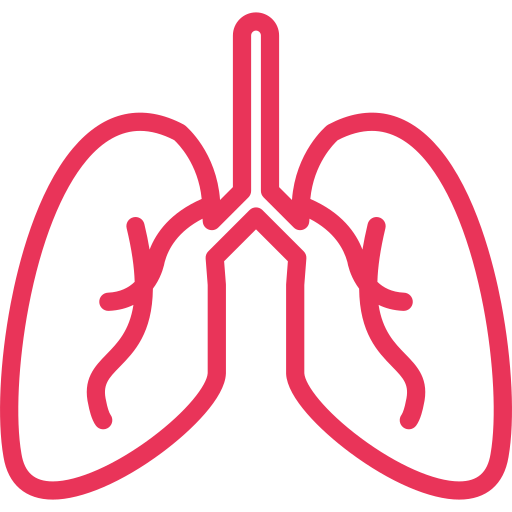 pulmões Generic color outline Ícone