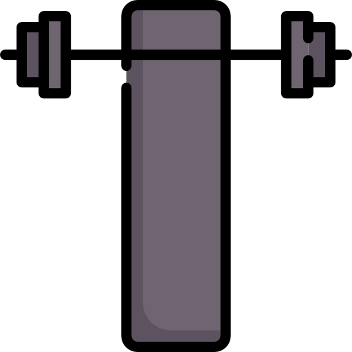 barra con pesas Special Lineal color icono