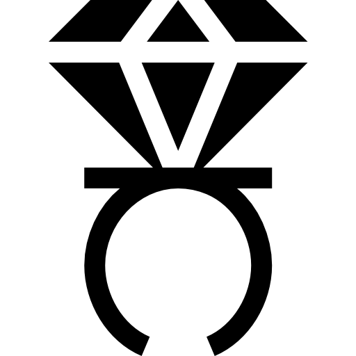 anillo Basic Straight Filled icono