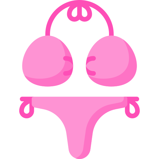 bikini Special Flat icono