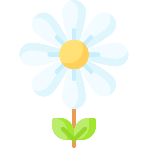 Flower Special Flat icon