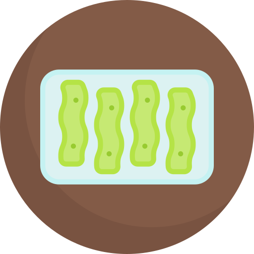 gebratener nopal Generic color fill icon