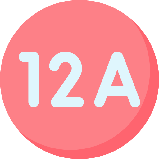 12a Special Flat icoon