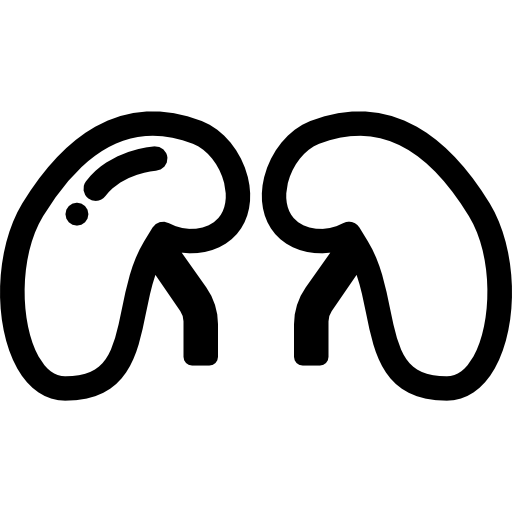 腎臓  icon