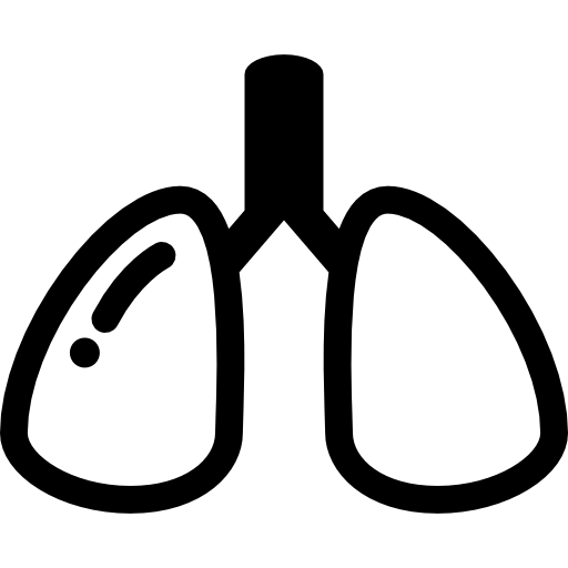Lungs  icon