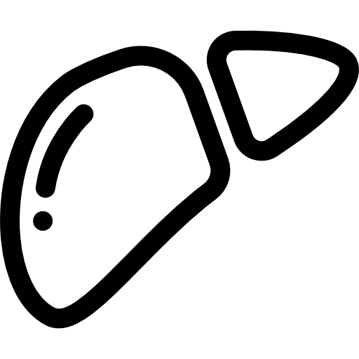 肝臓  icon