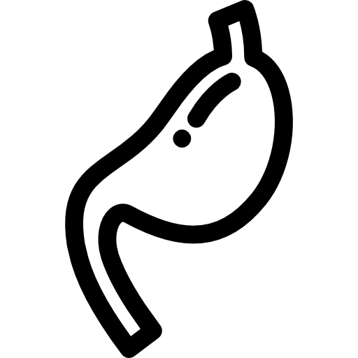Желудок  иконка