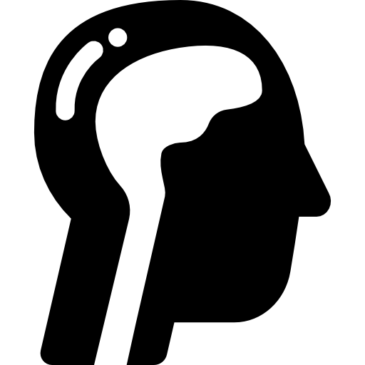 人間の脳  icon