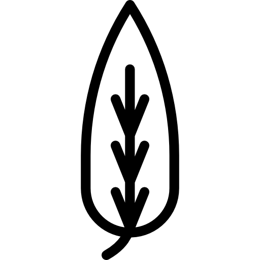 pinnation  icon