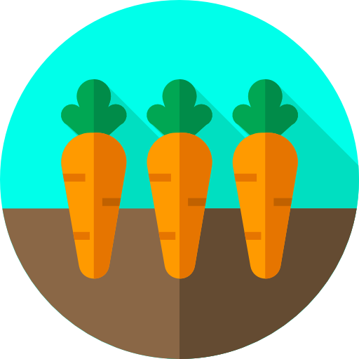 les carottes Flat Circular Flat Icône