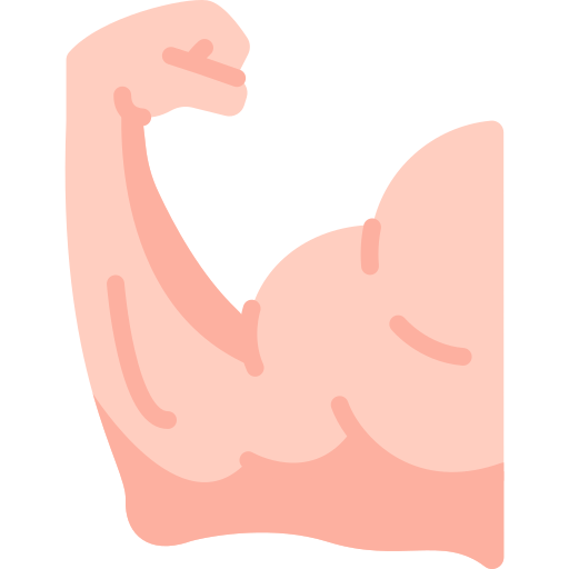 músculo Special Flat icono