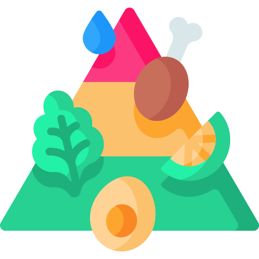 Пищевая пирамида Special Flat иконка