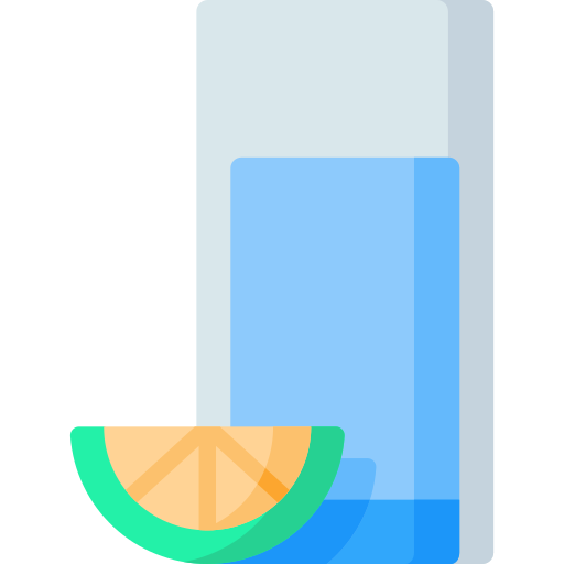 Infused water Special Flat icon
