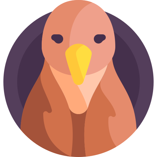 rufous hornero Detailed Flat Circular Flat icon