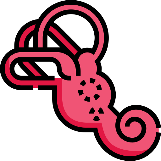 Cochlea Detailed Straight Lineal color icon