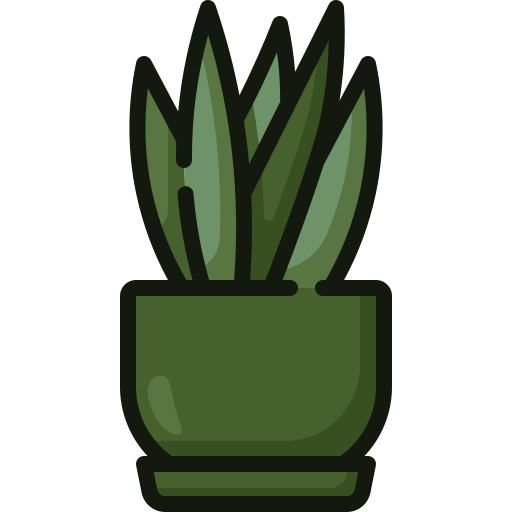 Sansevieria Generic color outline icon