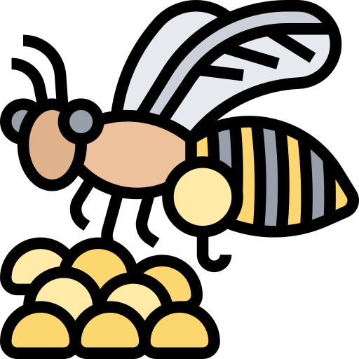 Bee Meticulous Lineal Color icon