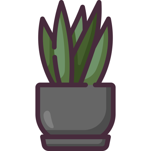 sansevieria Generic color outline icoon
