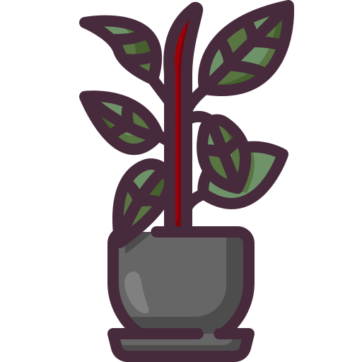 pianta di gomma Generic color outline icona