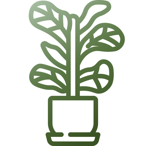 Fiddle fig Generic gradient outline icon
