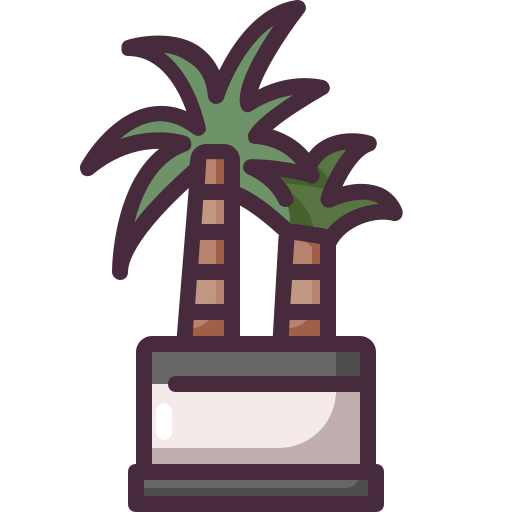 Palm Generic color outline icon