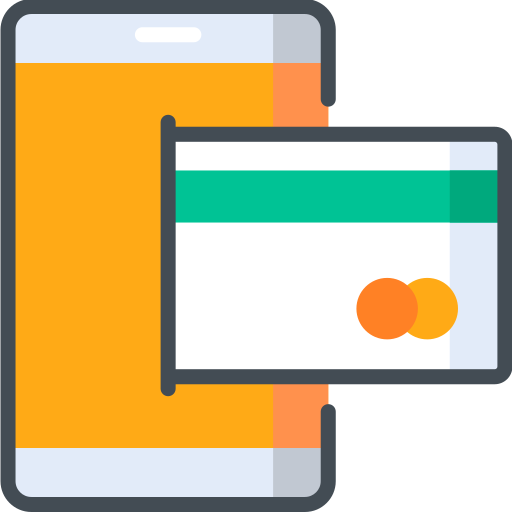 Payment method Special Bicolor icon