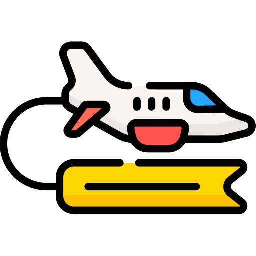 drapeau de l'avion Special Lineal color Icône