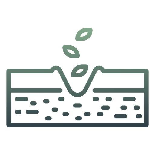 Seeding Generic gradient outline icon