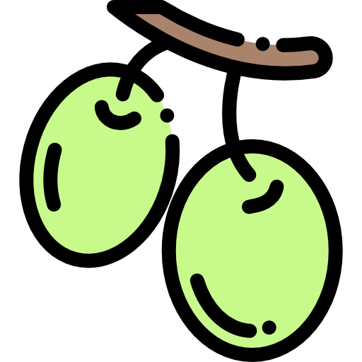 Olives Detailed Rounded Lineal color icon