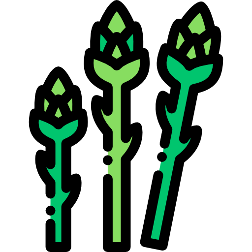 Asparagus Detailed Rounded Lineal color icon