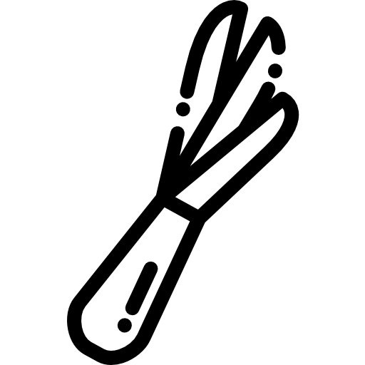 봄 양파 Detailed Rounded Lineal icon