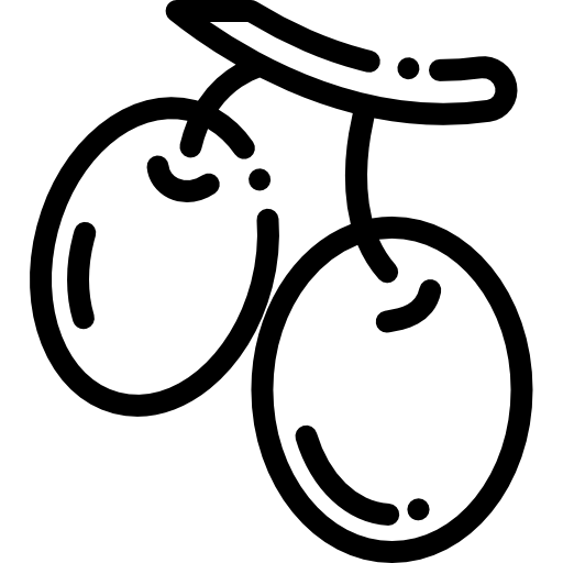 올리브 Detailed Rounded Lineal icon