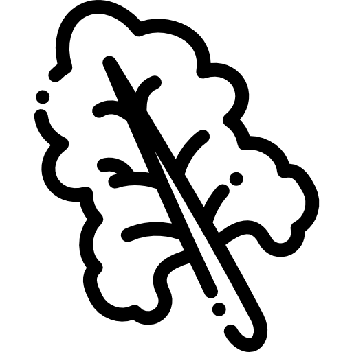 レタス Detailed Rounded Lineal icon