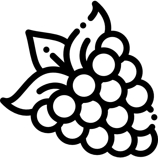 ラズベリー Detailed Rounded Lineal icon