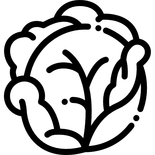 キャベツ Detailed Rounded Lineal icon