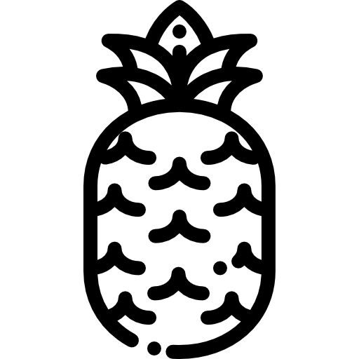 파인애플 Detailed Rounded Lineal icon