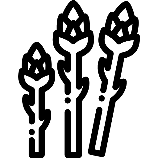 アスパラガス Detailed Rounded Lineal icon