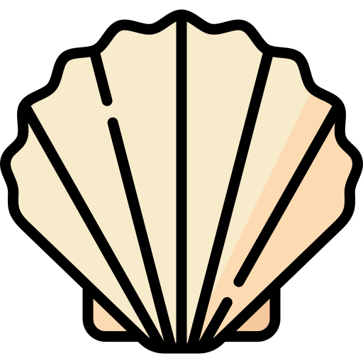 貝殻 Special Lineal color icon