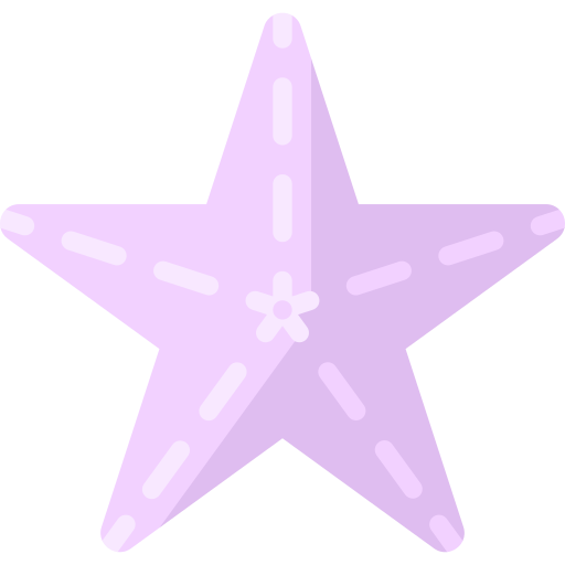 Starfish Special Flat icon