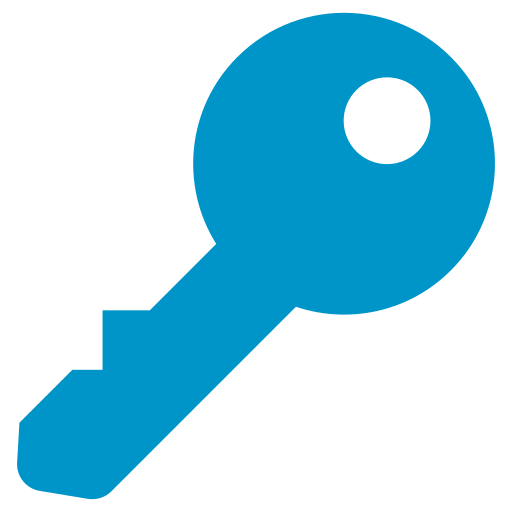 Key Generic color fill icon