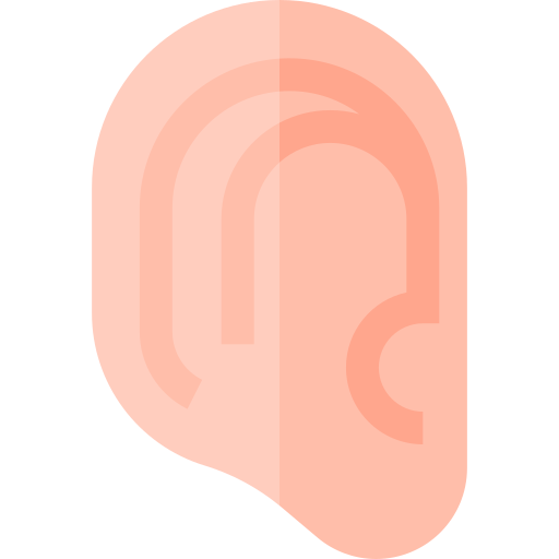 귀 Basic Straight Flat icon