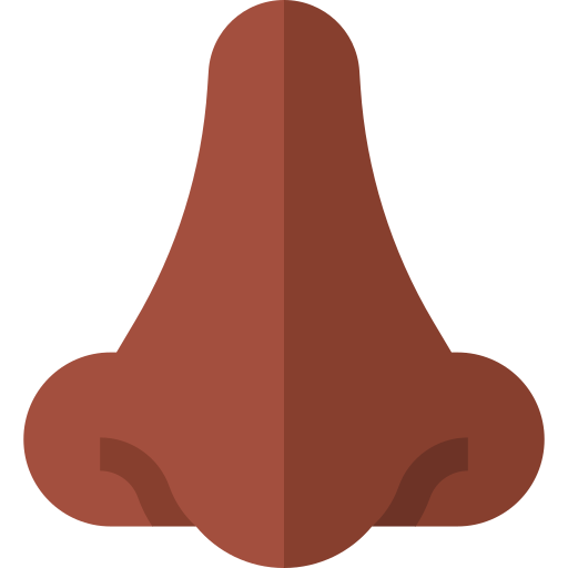 nariz Basic Straight Flat icono