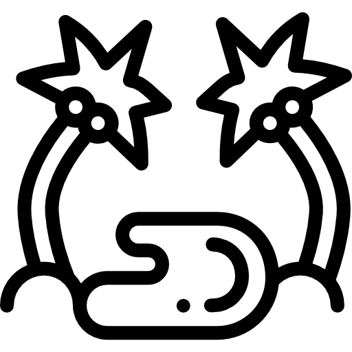 Оазис Detailed Rounded Lineal иконка